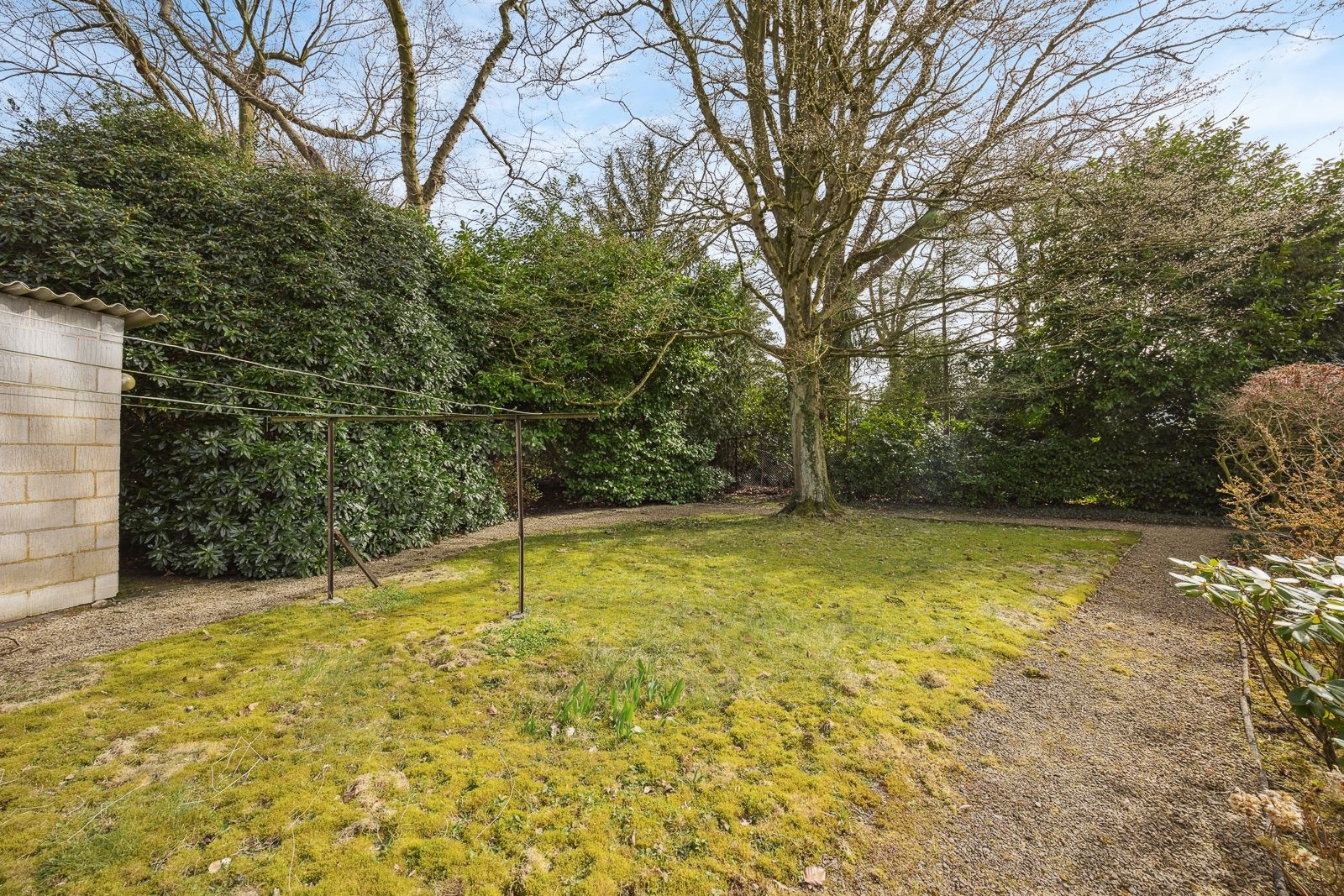 Ruime bouwgrond van ca. 1407 m² te Kapellen – rustig gelegen en omgeven door groen ! - foto 5