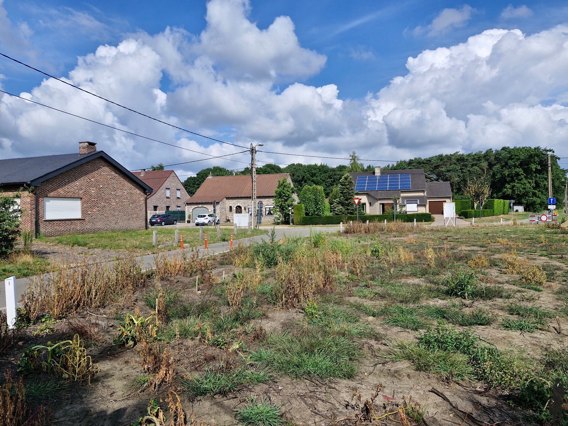 Bouwgrond te koop – Lot 1 – Hoekperceel te Betekom (Begijnendijk). - foto 3