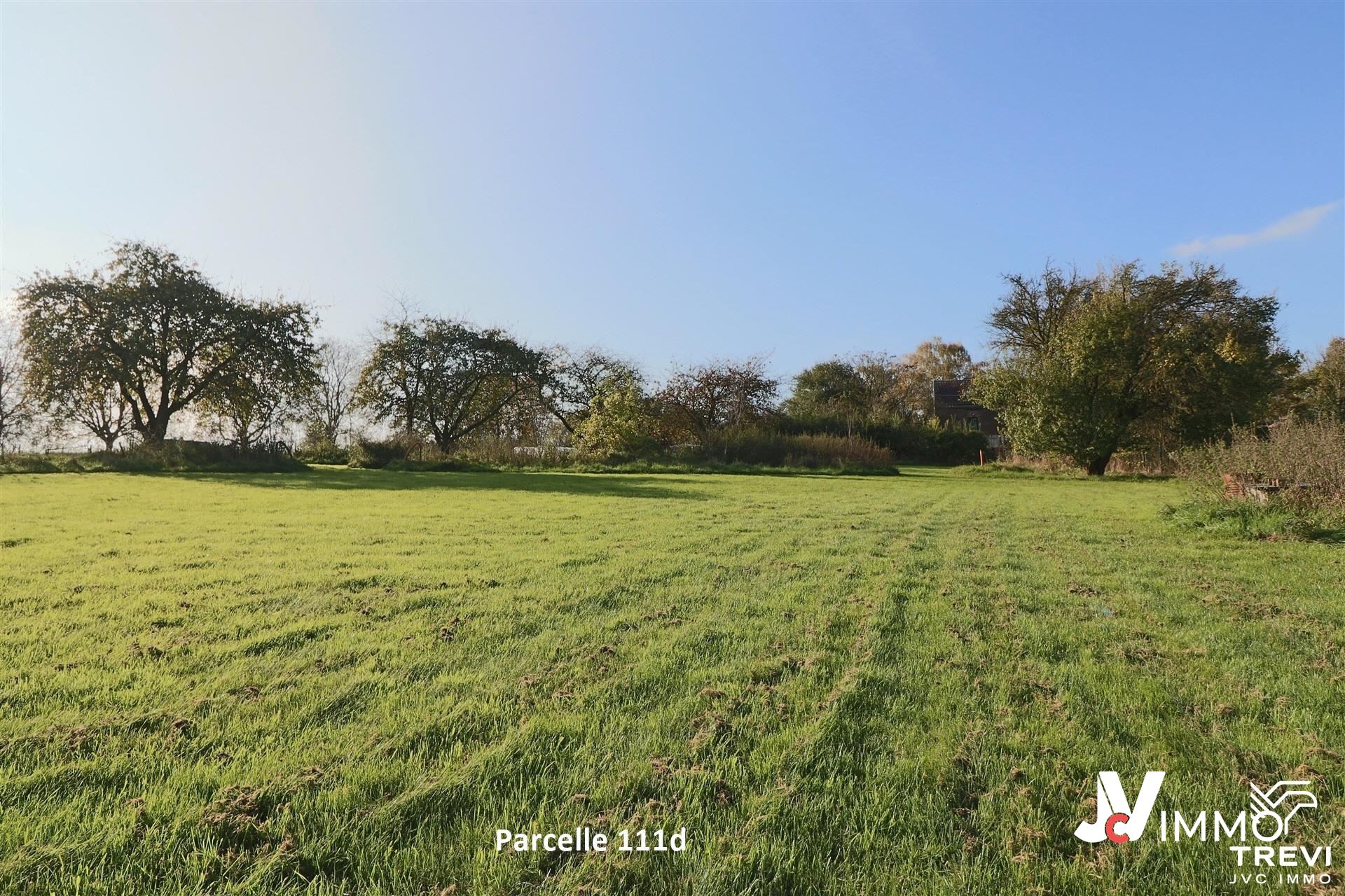 Grond te koop in Orp-Le-Grand - foto 2