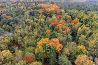 Land for sale in Brasschaat