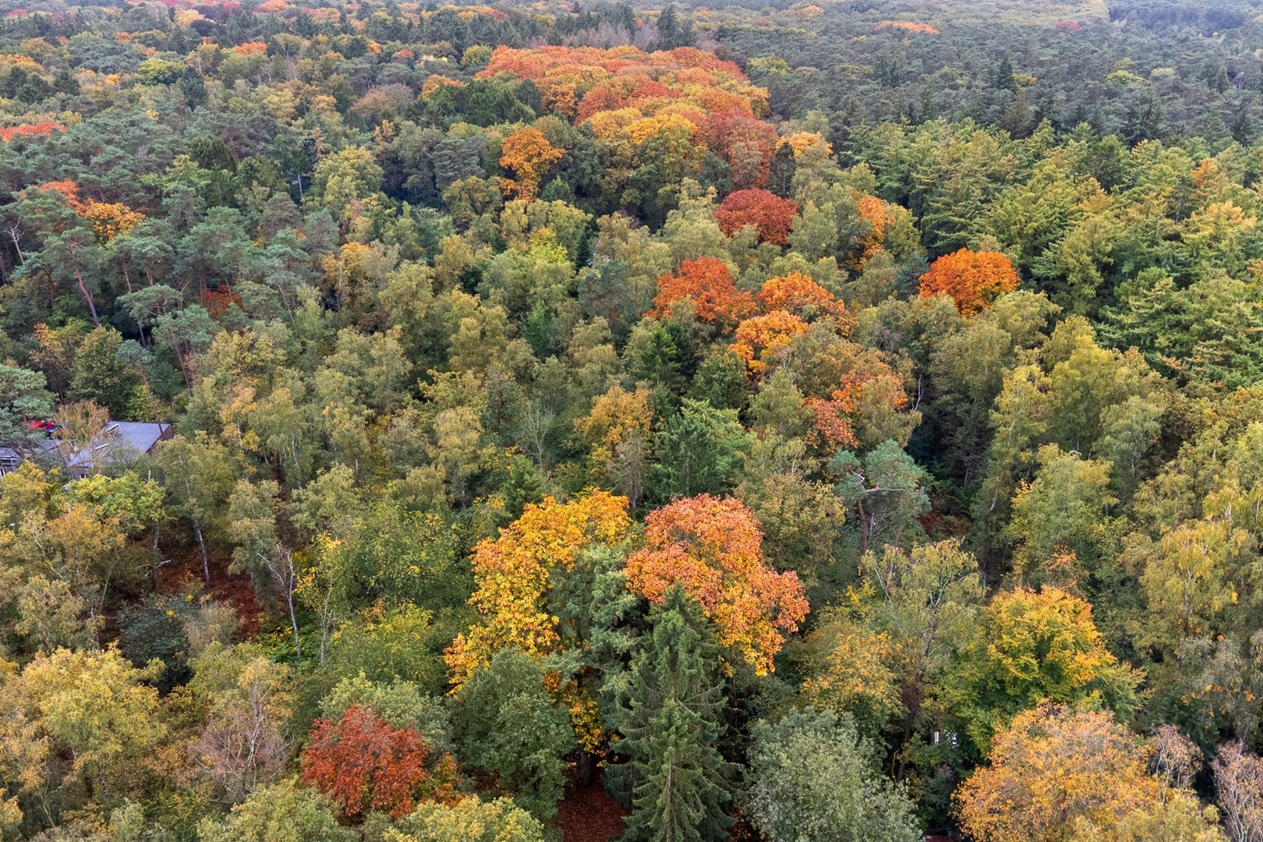 Land for sale in Brasschaat - photo 1