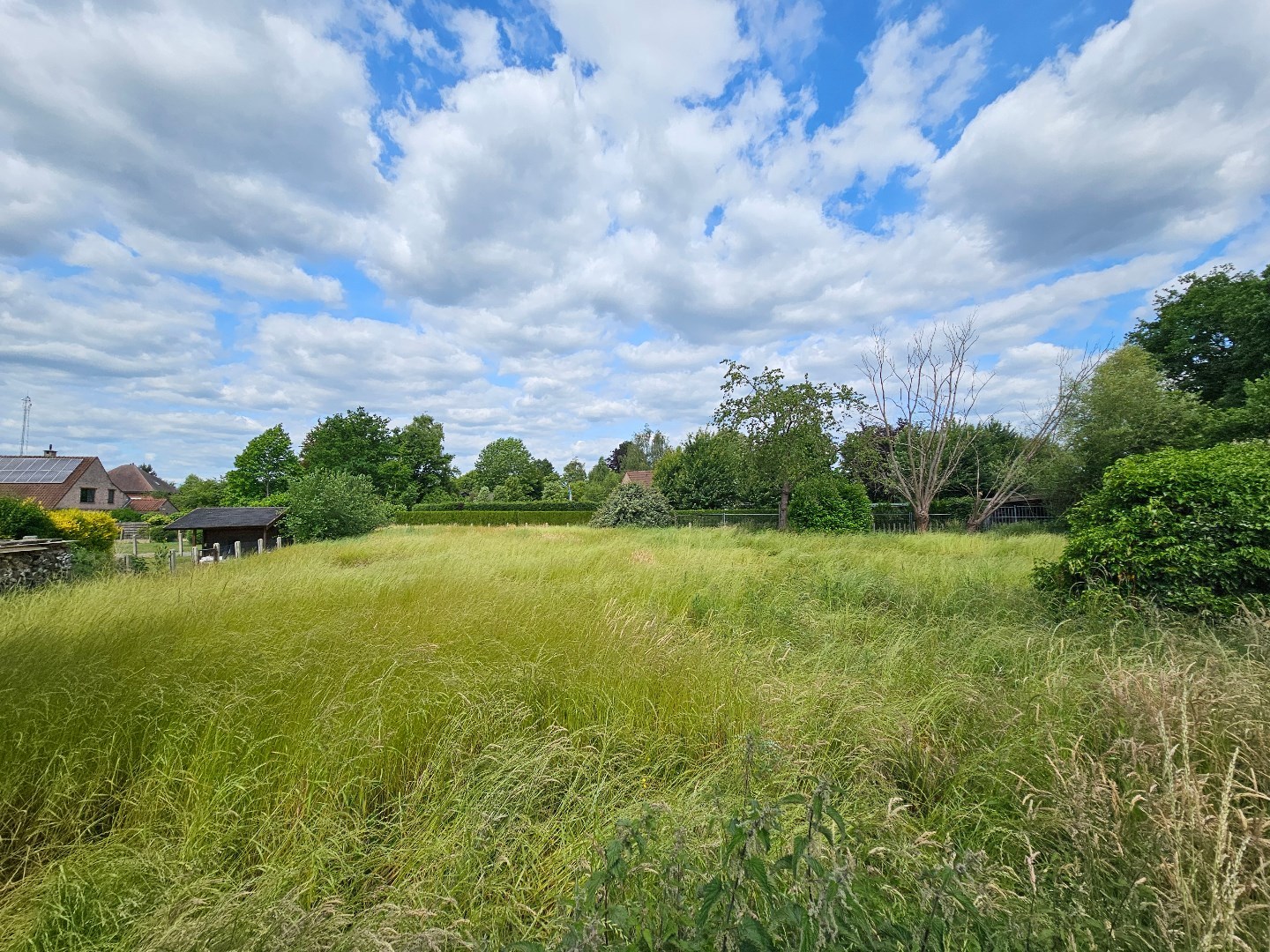 Grond te koop in Haacht - foto 3