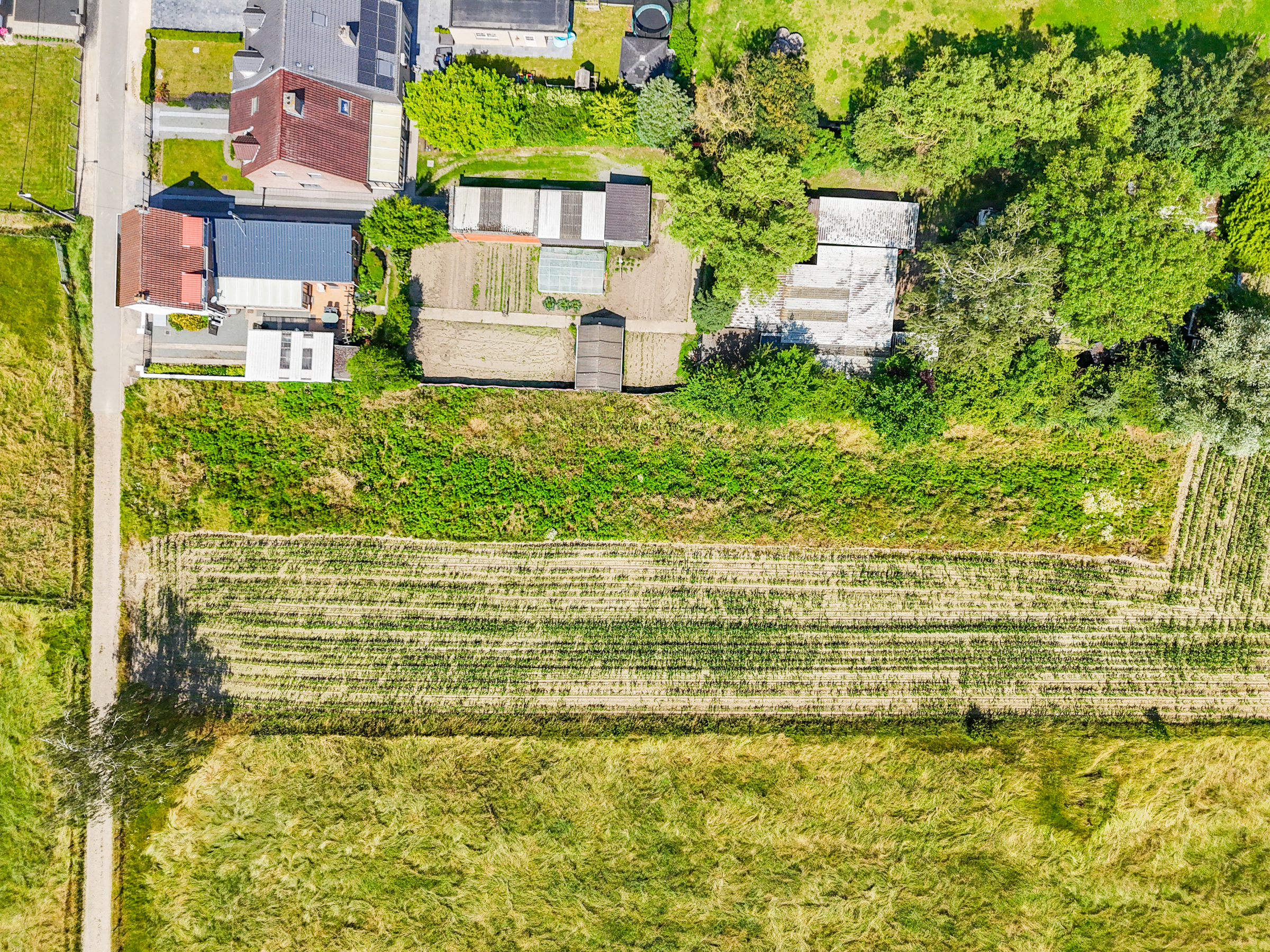 Land for sale in Dendermonde - photo 4