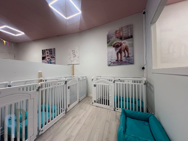 Instapklare opbrengsteigendom op topligging - foto 5