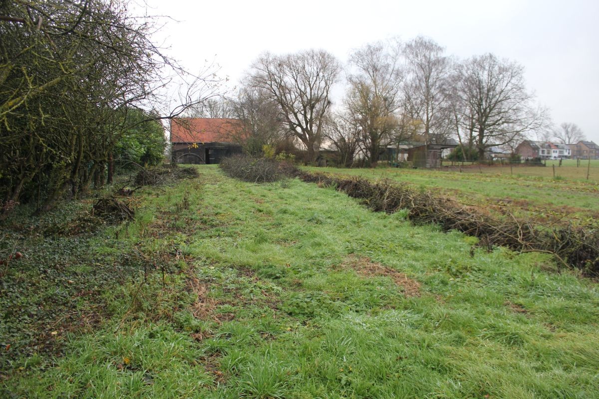Hoeve gelegen aan de rand van stad Aalst met open ruimte - foto 3