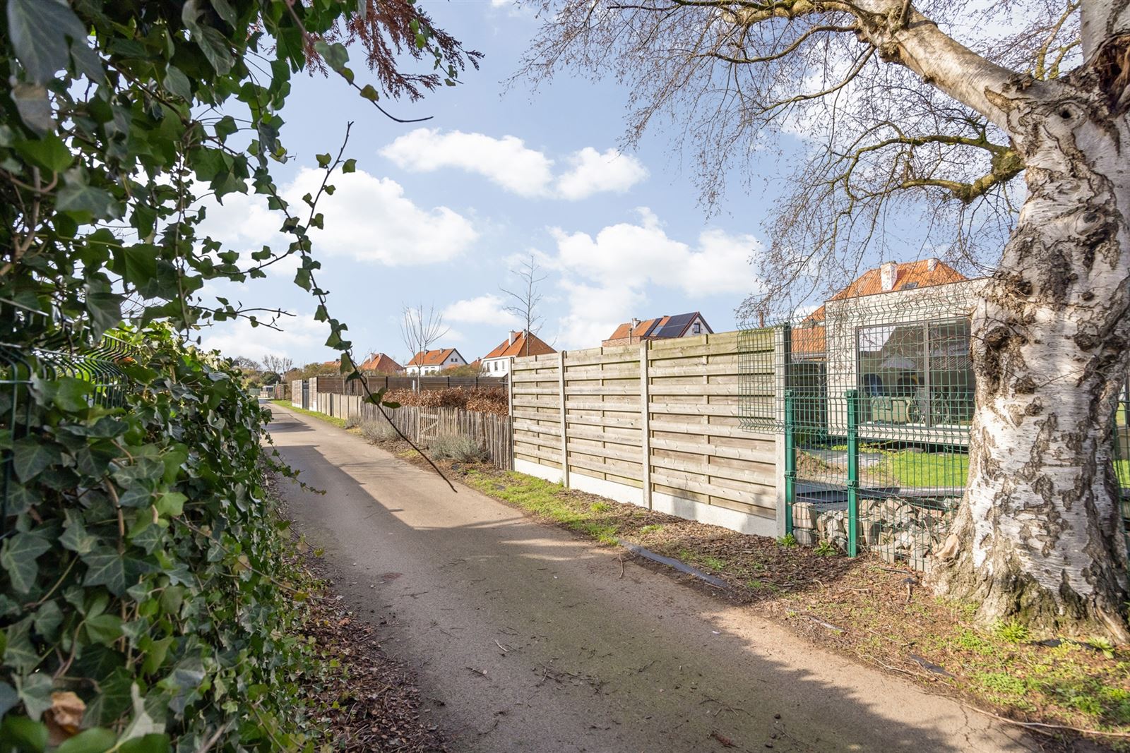 Maison à vendre à Tessenderlo-Ham avec 3 chambres - photo 3