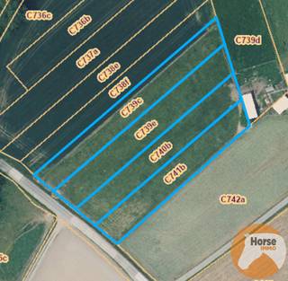 HOFSTADE - Weide op +/-58areDit perceel kunt u terugvinden onder AALST AFD5/Hofstade sectie: C, nummers: 739c - 739e - 740b - 741b.Vrij van pacht en...
