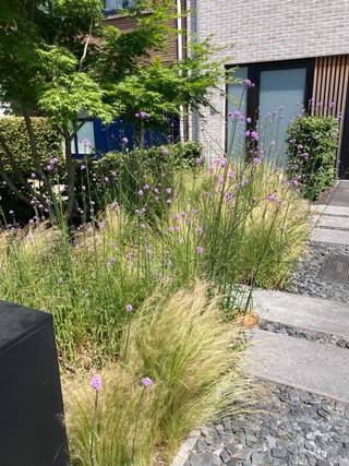 House for sale in Brasschaat