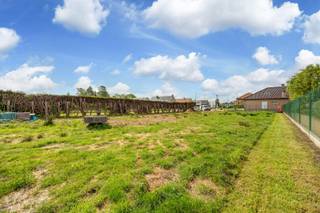 <span><strong><em>Bent u op zoek naar een rustig gelegen bouwgrond in een kindvriendelijke buurt? </em><br /><em>Realiseer uw bouwplannen in een doodlopende straat, vlakbij scholen, invalswegen en dorpskern. </em><br /><br /></strong></span><span>Grondoppervlakte: 668 m²</span><br /><br /><span>Perceelbreedte: 19,43 m</span><br /><span>Oriëntatie: Noord-Oost</span><br /><br /><span>Geen bouwverplichting!</span><br /><br /><span><strong>Hoofdgebouw</strong></span><br /><br /><span>- Bouwbreedte: Max. 13m</span><br /><span>- Bouwdiepte: Max. 13 m</span><br /><span>- Bebouwing: Open<br />- Kroonlijsthoogte: Max. 7 m</span><br /><span>- Nokhoogte: Max. 11,50 m</span><br /><span>- Dakvorm: Vrij – helling max 60° </span><br /><span>- Zijgevels op minimum 3m afstand van de zijgrens<br /></span><br /><span><strong>Bijgebouw<br /></strong></span><br /><span>- Op perceelgrens of op min. 3 m afstand van zijgrenzen</span><br /><span>- Kroonlijsthoogte: Max. 3 m<br />- Nokhoogte: Max. 4,5 m<br /></span><br /><span><strong>POSITIEVE ASPECTEN<br /></strong>Doodlopende straat</span><br /><span>Rustige en kindvriendelijke locatie</span><br /><span>Mooie perceeloppervlakte</span><br /><span>Centrale ligging nabij scholen, winkels en dorpskern</span>