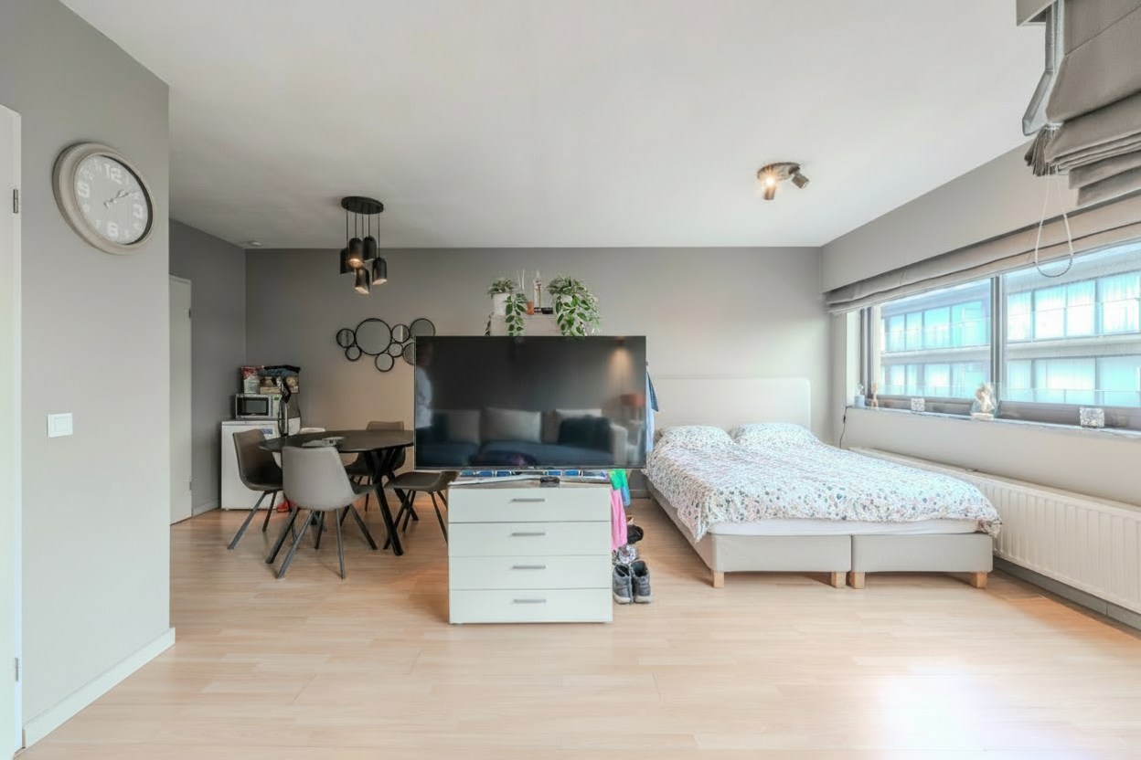 Vernieuwde studio met slaaphoek - foto 3