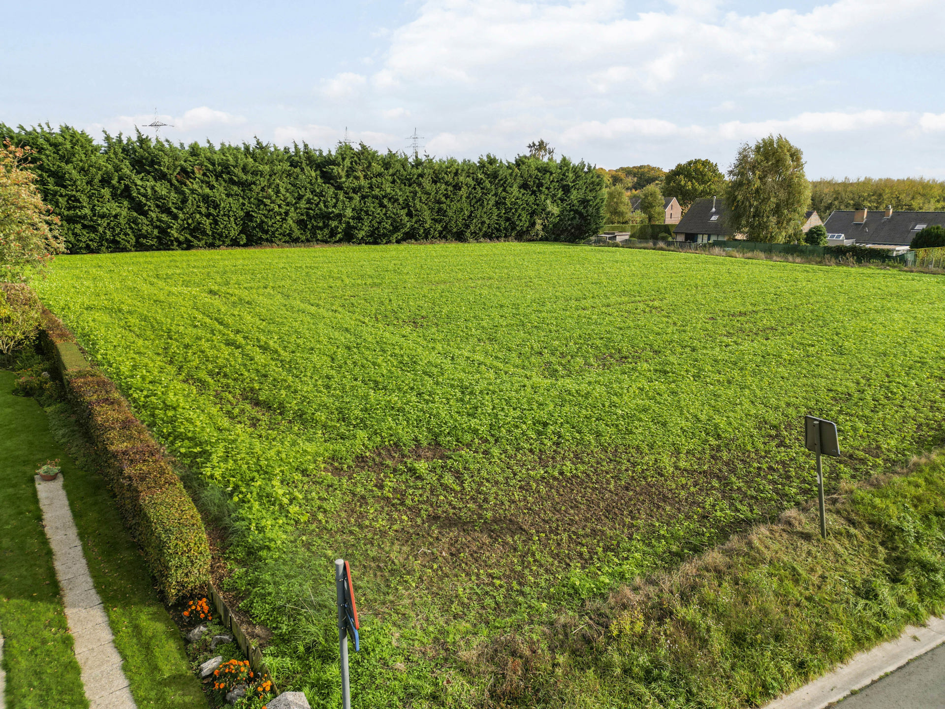 Terrain à vendre à Dilbeek - photo 5