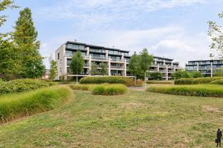 <p><strong>Unieke penthouse met adembenemend uitzicht in parkdomein te Putte.</strong></p>
<p><strong>Exclusief wonen in residentie Parc Alice Nahon:<br /></strong>Ontdek deze luxueus afgewerkte penthouse (bouwjaar 2019) in het prestigieuze parkproject <em>residentie Parc Alice Nahon</em>, gelegen op wandelafstand van het centrum van Putte. Deze unieke eigendom biedt een ongeëvenaarde combinatie van <strong>rust, ruimte, licht en groen</strong> – <br />de perfecte harmonie tussen comfort en natuur.</p>
<p><strong>Kenmerken:<br /></strong>Bewoonbare oppervlakte: 140 m²<br />Terras: 86 m² rondom rond met panoramisch uitzicht<br />Slaapkamers: 2 + volledig geïnstalleerde bureau (<strong>mogelijk in te richten als 3de slaapkamer</strong>)<br /><strong>Prijs penthouse inclusief Privéberging: </strong>€699.000<br /><strong>Verplichte aankoop 3 autostaanplaatsen</strong>: €60.000<br /><strong>Totale prijs</strong>: €759.000<br /><br />Deze penthouse biedt een <strong>exceptionele lichtinval</strong> dankzij de grote raampartijen en een open indeling. De ruime leefruimte is afgewerkt met hoogwaardige materialen en voorzien van een <strong>gezellige gashaard</strong> met Dekton tablet, perfect voor knusse avonden.<br />De <strong>open keuken</strong> is volledig uitgerust met topkwaliteit Miele-apparatuur waaronder een industriële stoomoven, heteluchtoven en een ingewerkte inductiekookplaat in een stijlvol Dekton werkblad. Ook de spoelbak en dampkap (Novy) zijn volledig geïntegreerd in dit strakke design.<br />De badkamer is voorzien van een <strong>ruime inloopdouche</strong> en comfortabele inrichting. Het hele appartement is energiezuinig (E-peil: 41, A-label), voorzien van <strong>vloerverwarming</strong>, <strong>drievoudige beglazing</strong> en <strong>airconditioning</strong>.</p>
<p><strong>Comfort en technologie:<br /></strong>Volledig ingebouwde bureau met maatwerkkasten en lades (voorheen 3de slaapkamer/hobbyruimte)<br /><strong>Automatische zonneluifel</strong> en sfeervolle buitenverlichting op het terras<br /><strong>Automatische screens</strong> in keuken, leefruimte en gang<br /><strong>Airco-installatie</strong> in het hele appartement<br /><strong>EK volledig conform</strong> het AREI<br /><strong>Beveiligde ondergrondse parkeergarage</strong> met 3 ruime staanplaatsen, privéberging, badge- en afstandsbedieningssysteem<br /><strong>Gemeenschappelijke voorzieningen</strong>: fietsenstalling, bezoekersparking, glas- en huisvuilcontainers, laadpaal voor elektrische voertuigen</p>
<p><strong>Ligging en bereikbaarheid:<br /></strong>Deze penthouse ligt <strong>op een rustige locatie midden in een aangelegd park</strong>, vlakbij winkels, scholen en het centrum van Putte. <br />Vlotte verbinding naar omliggende steden dankzij nabijheid van de R6 en E19.<br /><br /><strong>Interesse?<br /></strong>Laat je betoveren door de unieke ligging, het panoramisch terras, de luxueuze afwerking en het ongeëvenaarde wooncomfort.<br />Voor een bezichtiging of meer informatie, contacteer onze vastgoedverantwoordelijke via <strong>0492/406156</strong>.</p>