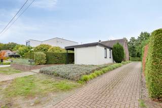 <p>Heusden-Zolder: instapklare woning met 5 slaapkamers op een ruim perceel.</p>
<p> </p>
<p>Bent u op zoek naar een instapklare woning met veel potentieel op een top locatie?</p>
<p>Deze energiezuinige woning op een perceel van 9a 60ca biedt het comfort van volledig gelijkvloers wonen, aangevuld met extra slaapkamers en een badkamer op de verdieping.</p>
<p> </p>
<p><strong>Indeling: </strong></p>
<ul><li>Gelijkvloers: inkomhal, woonkamer, eetkamer, keuken, berging, wasruimte, badkamer, 3 slaapkamers</li><li>Verdieping +1: 2 slaapkamer, badkamer</li><li>Verdieping -1: voorraadkelder</li></ul>
<p><strong>Troeven: </strong></p>
<ul><li>Gegeerde locatie: zowel goed bereikbaar als omgeven door natuur en bossen</li><li>Uitstekende bereikbaarheid: op minder dan 5 minuten van de E314</li><li>Diversiteit aan sport- en recreatiefaciliteiten: tennis- en padelclubs, circuit Zolder, velodroom, wandel- en fietsroutenetwerk</li><li>Ruim aanbod aan voorzieningen: restaurants, supermarkten, scholen, openbaar vervoer, apotheek, dokters</li></ul>
<p>Wenst u meer informatie of een bezoek ter plaatse neem dan contact op met Lio van ERA De Piramide via 013/31.14.00 of depiramide@era.be.</p>