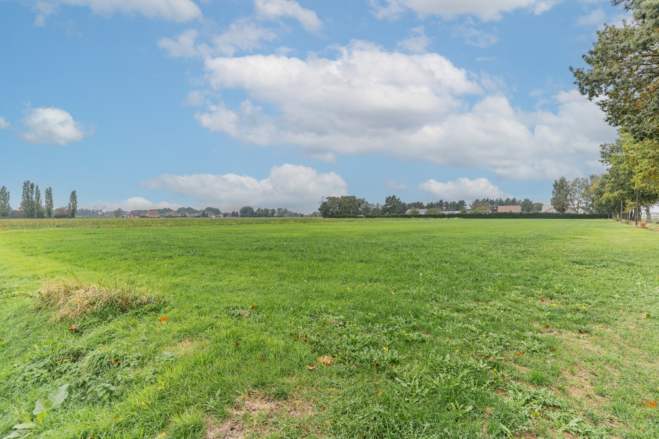 Landbouwgronden "Den Reep" gelegen in Obroek te Retie - foto 4