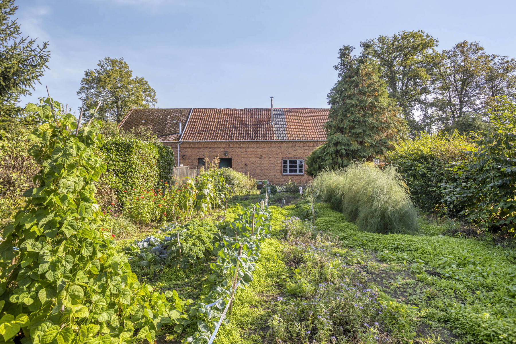 Huis te koop in Aarschot met 4 slaapkamers - foto 4