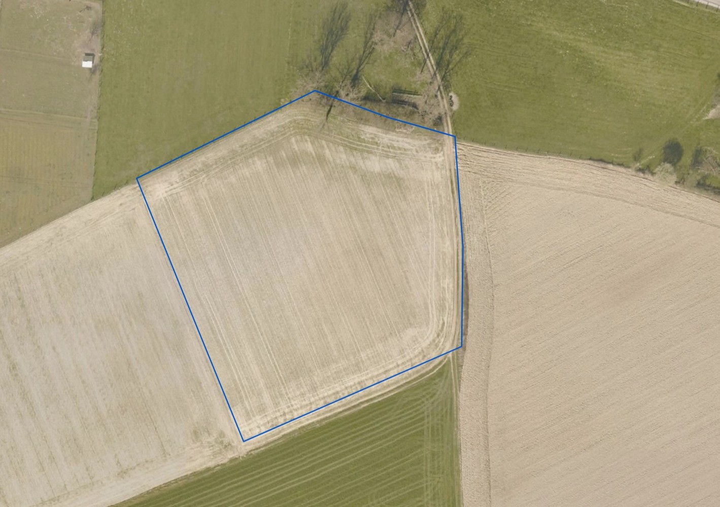 1,6ha verpachte (nog 7 jaar) landbouwgrond te koop - photo 5