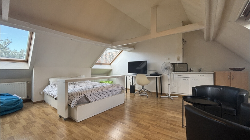 Lichtrijk en gezellig duplex-appartement te huur in het centrum van Brugge - photo 4