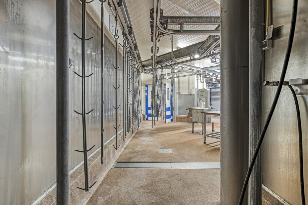 FOR SALE: Commercial property in the heart of Sint-Pieters (Bruges) - photo 2