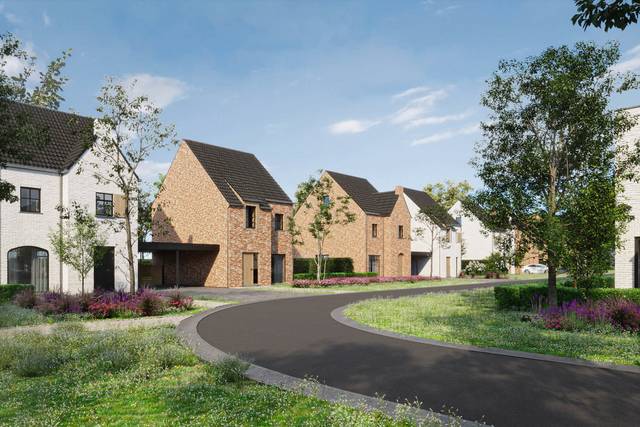 Project te koop in Dilsen-Stokkem