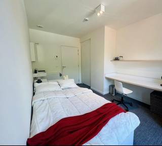 Studentenkamers gelegen in de studentenresidentie ACE op de Ridderstraat 266. Deze kamer heeft een eigen lavabo, is gemeubeld met: een bed,...