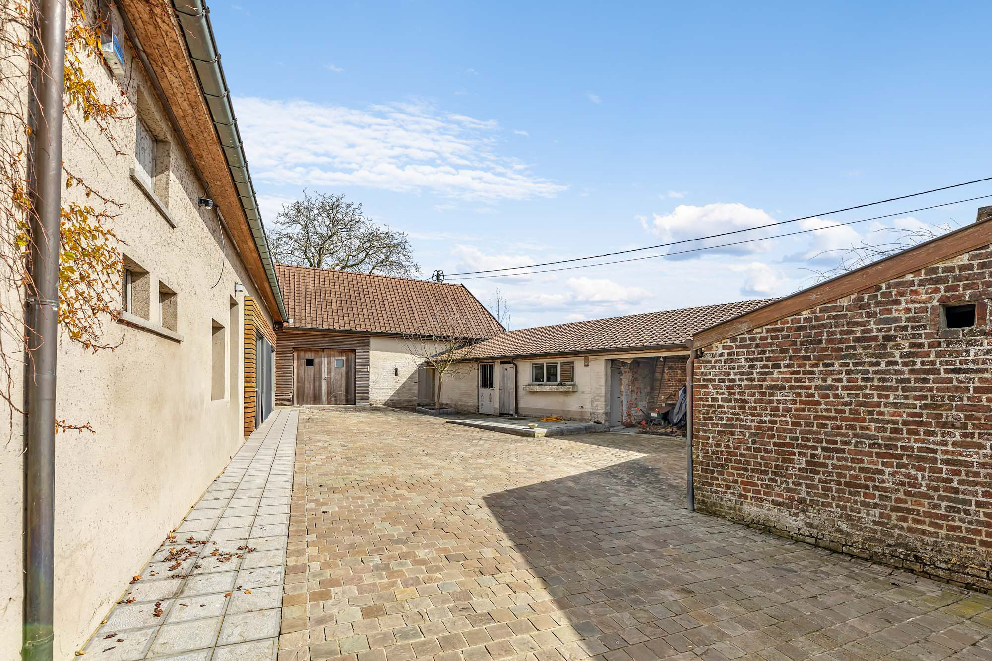 Maison à vendre à Sint-Pieters-Kapelle avec 4 chambres - photo 3