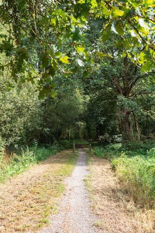 Voor verdere info of een vrijblijvende waardebepaling van uw eigendom: joeri.vandeven@homixx.be of 016 199 346.<br /><br />Ontdek deze bospercelen van samen 4.470 m², gelegen in een groene en rustige omgeving aan de Steestraat in Tremelo. Een unieke plek waar rust, natuur en privacy centraal staan. Ideaal voor natuurliefhebbers, als investering of om eenvoudig te genieten van een eigen stukje bos. Dankzij de vlotte bereikbaarheid combineert deze eigendom een landelijke ligging met een goede verbinding naar de omliggende gemeenten.<br /><br />Achteraan op het terrein bevinden zich een aantal dode of afstervende sparren en liggen 10 door derden achtergelaten autobanden.<br />De verkoper kan deze banden nog laten verwijderen.Indien de koper de banden zelf wenst af te voeren, is een korting van € 500 op de vraagprijs mogelijk<br /><br />Een zeldzame kans om eigenaar te worden van een waardevol stukje natuur.