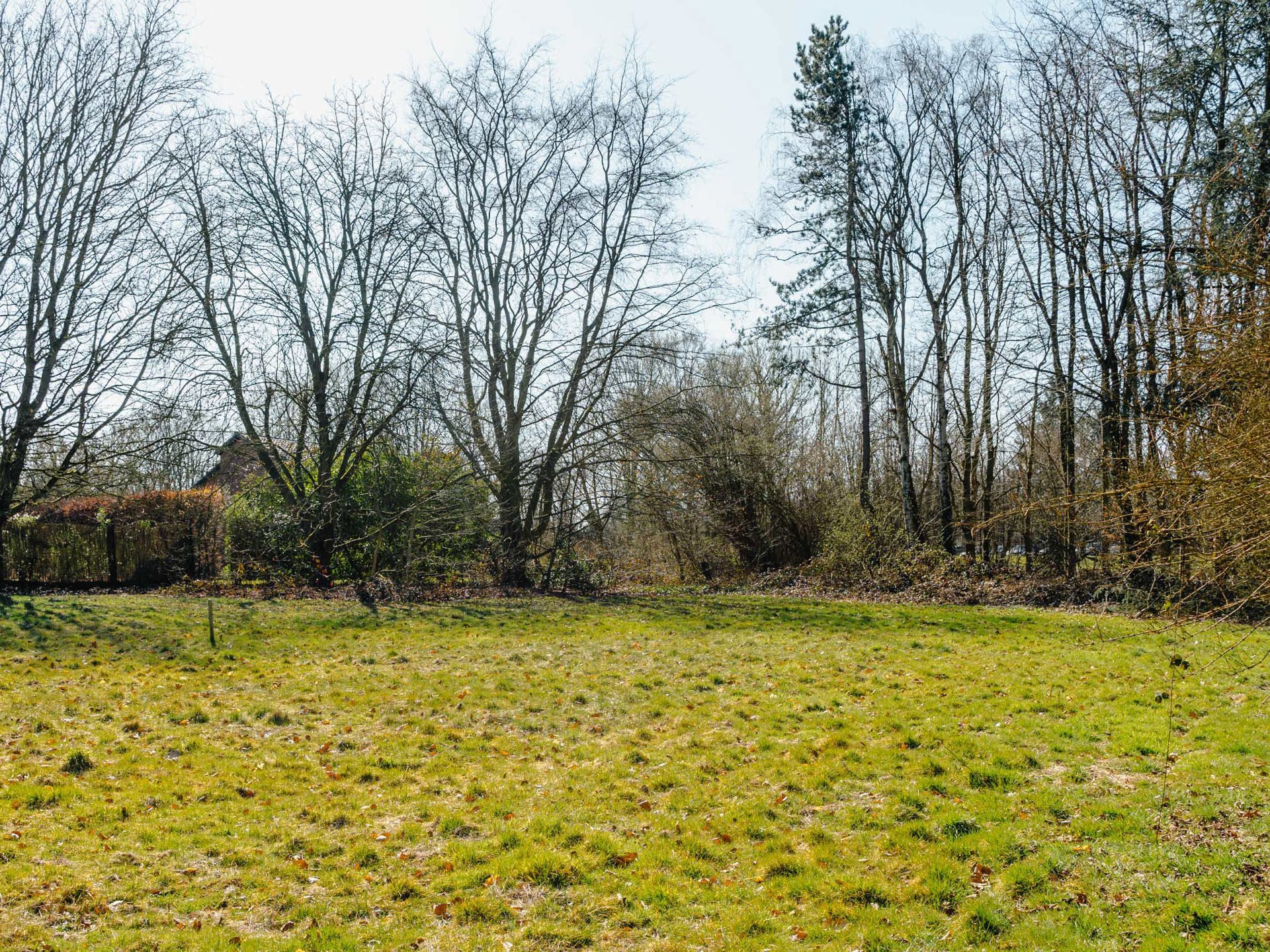 Land for sale in Lasne-Chapelle-Saint-Lambert - photo 3