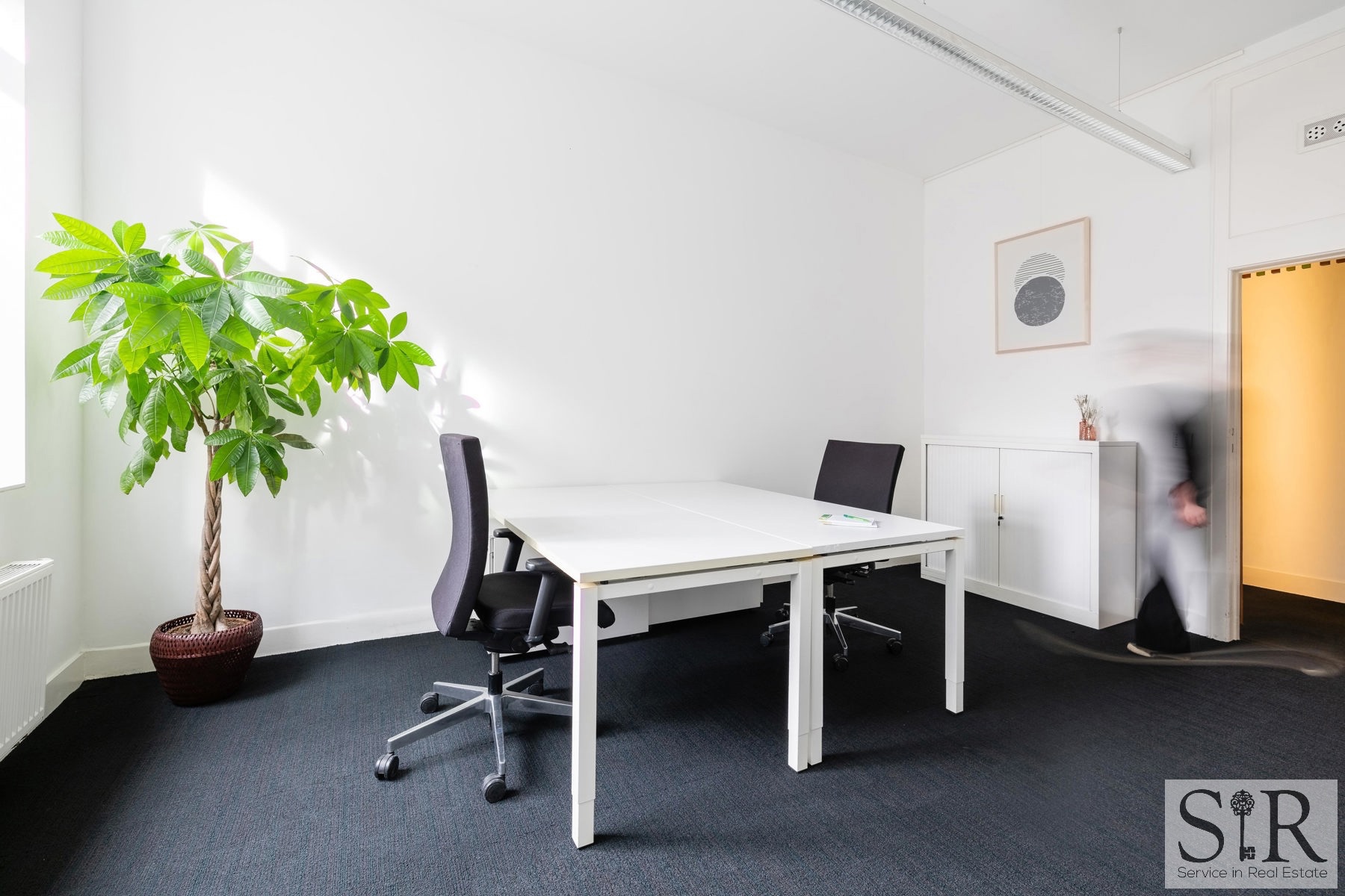 Commercial à louer à Malines - photo 1