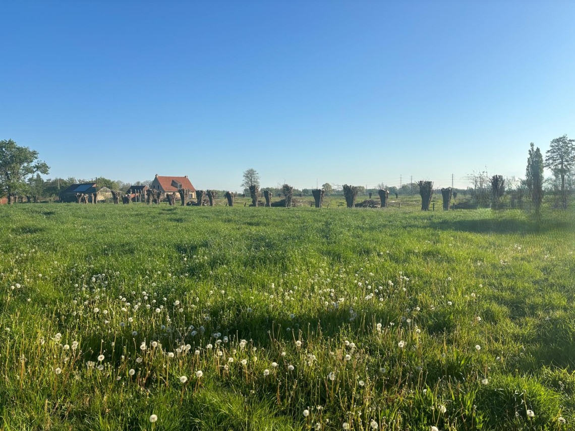 Oudenaardse Heerweg - photo 5