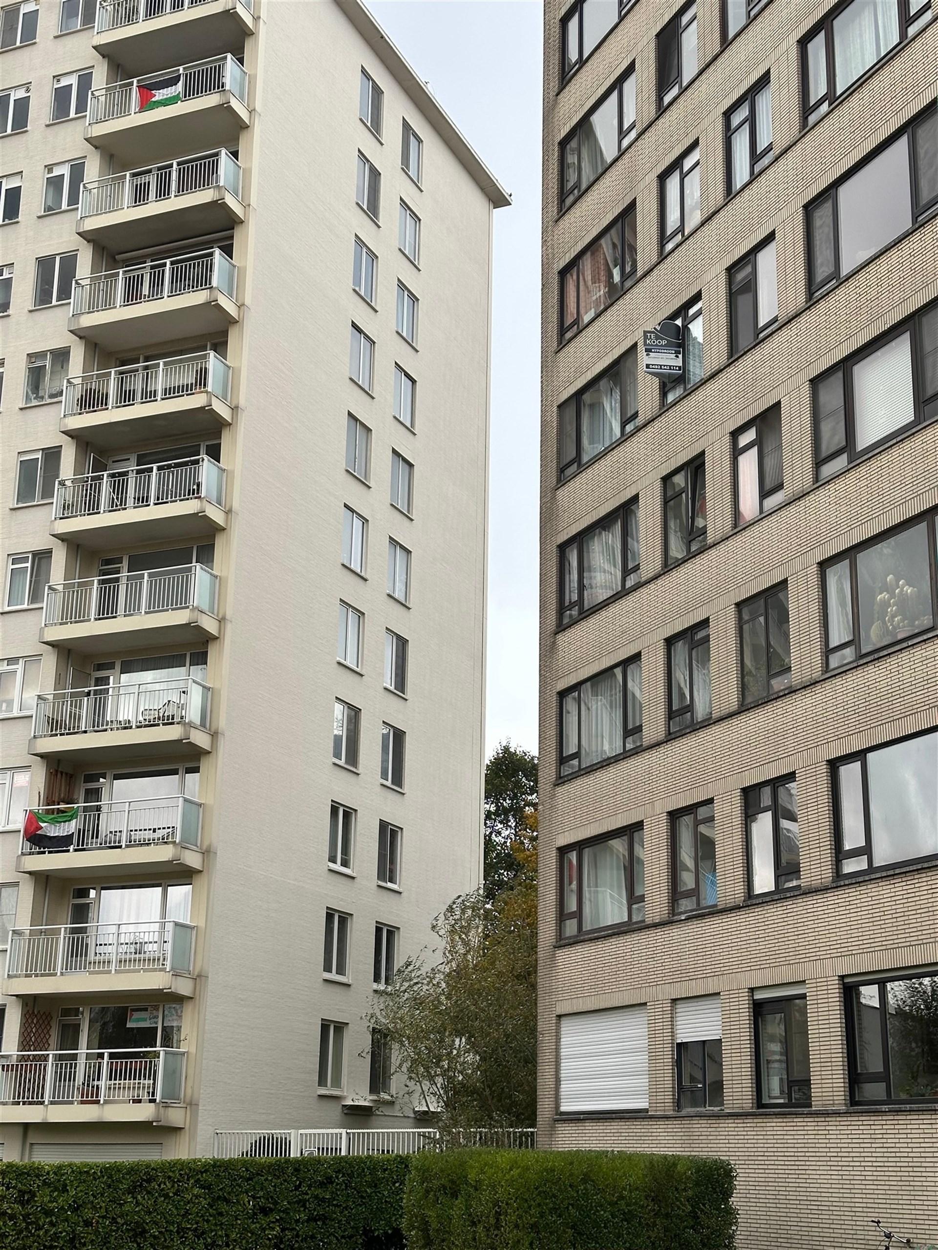 Appartement met 3 slaapkamers te koop in Borgerhout ! - foto 1