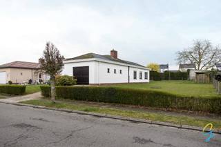 Maison à vendre à Wichelen