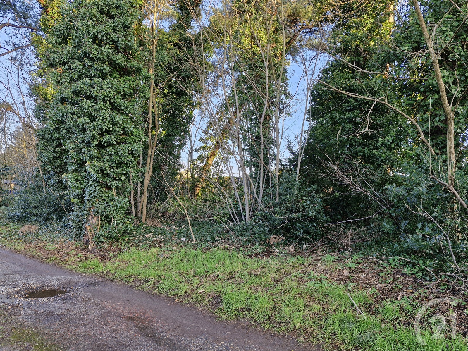 Nieuw te bouwen woning te koop in Tremelo! - foto 4