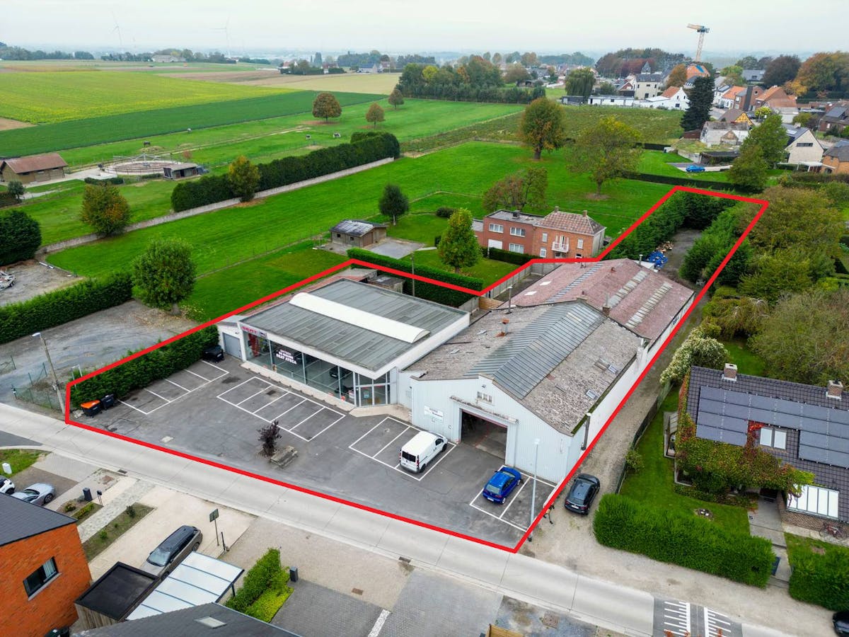Magazijnen (810 m²) met showroom (273 m²) te koop in Kruisem - foto 1