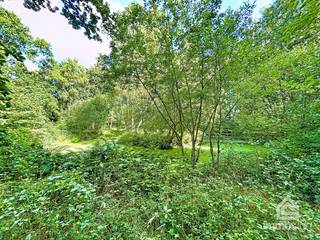 PLUSPUNTEN: + perceeloppervlakte: 9.050 m²+ vlotte bereikbaarheid+ bosrijke en landelijke omgeving+ ideaal voor rustzoekers+ volgens gewestplan:...