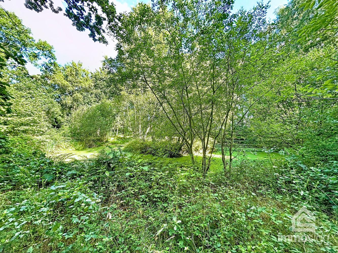 Uniek stuk grond van 9.050 m² in Grote-Brogel/Peer! - foto 2