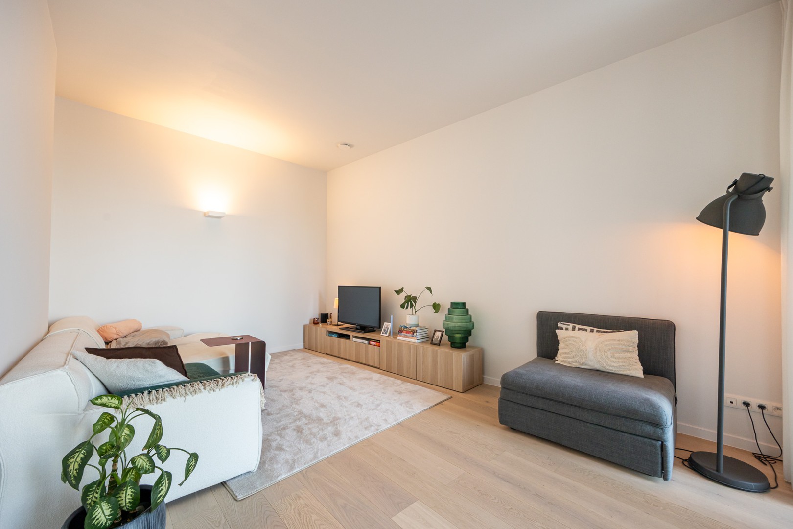 Nieuw Zuid - photo 5