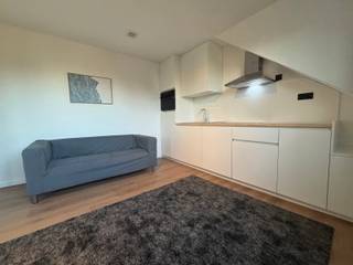 **Studio onmiddellijk beschikbaar**Deze ruime gerenoveerde studio is gelegen in Heverlee, aan de zuidkant van de bruisende studentenstad Leuven. De...