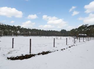 Gerenoveerde boutique woning, met aparte stal voor paarden, garage en weides.Deze charmante woning, voorzien van warmtepomp en...