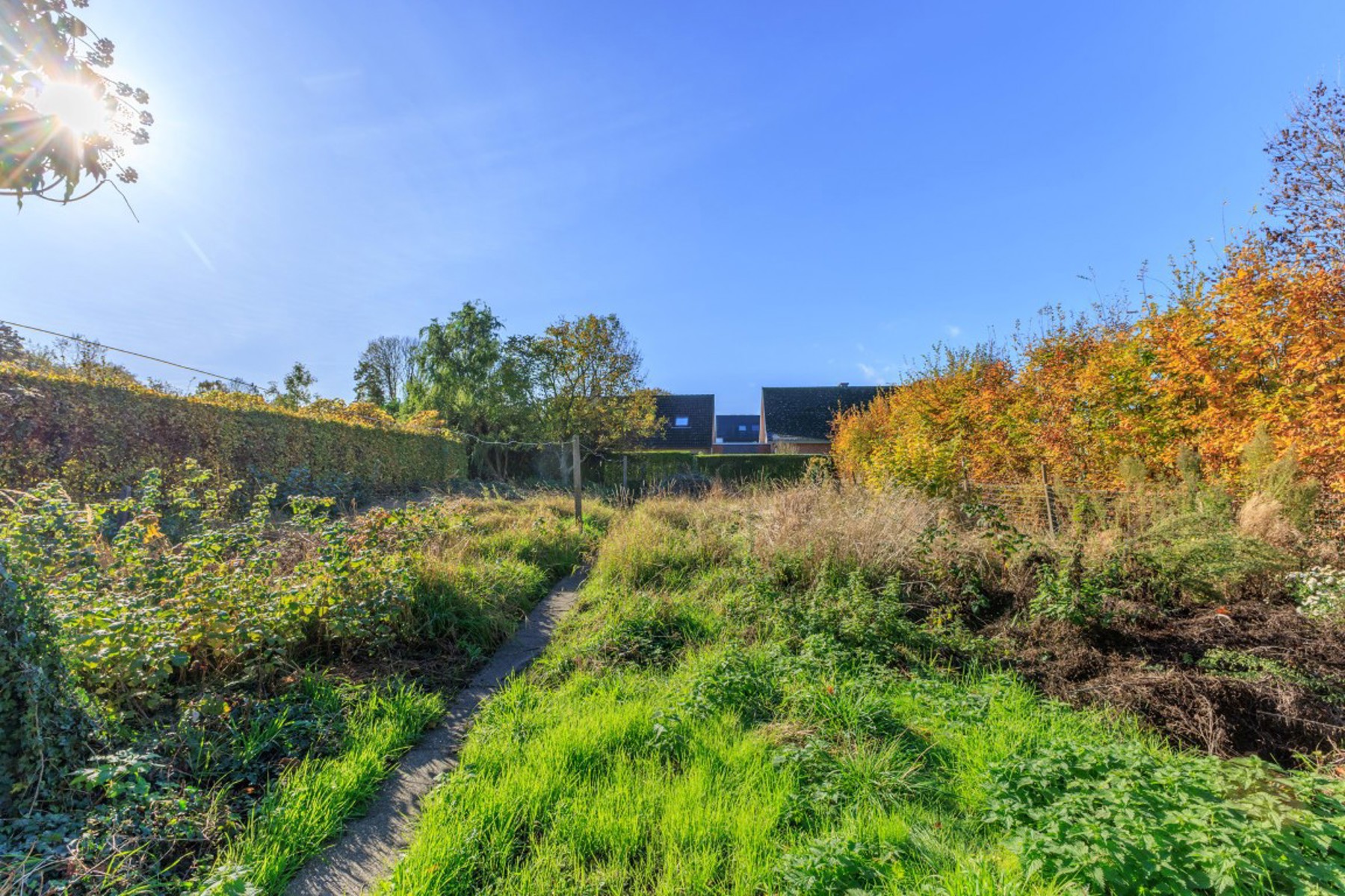 Gezinswoning met grote tuin in groene omgeving - foto 2