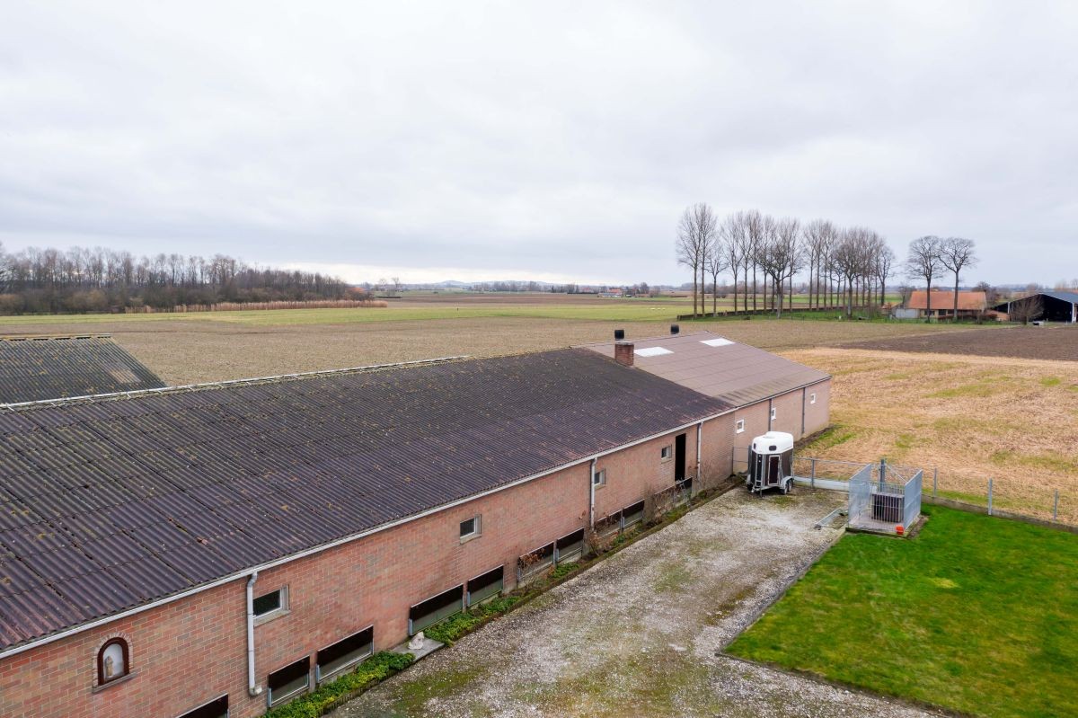 Varkensbedrijf te koop te Leisele - photo 5