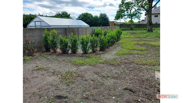 Een ruime en energiezuinige nieuwbouwwoning met tuin - foto 5