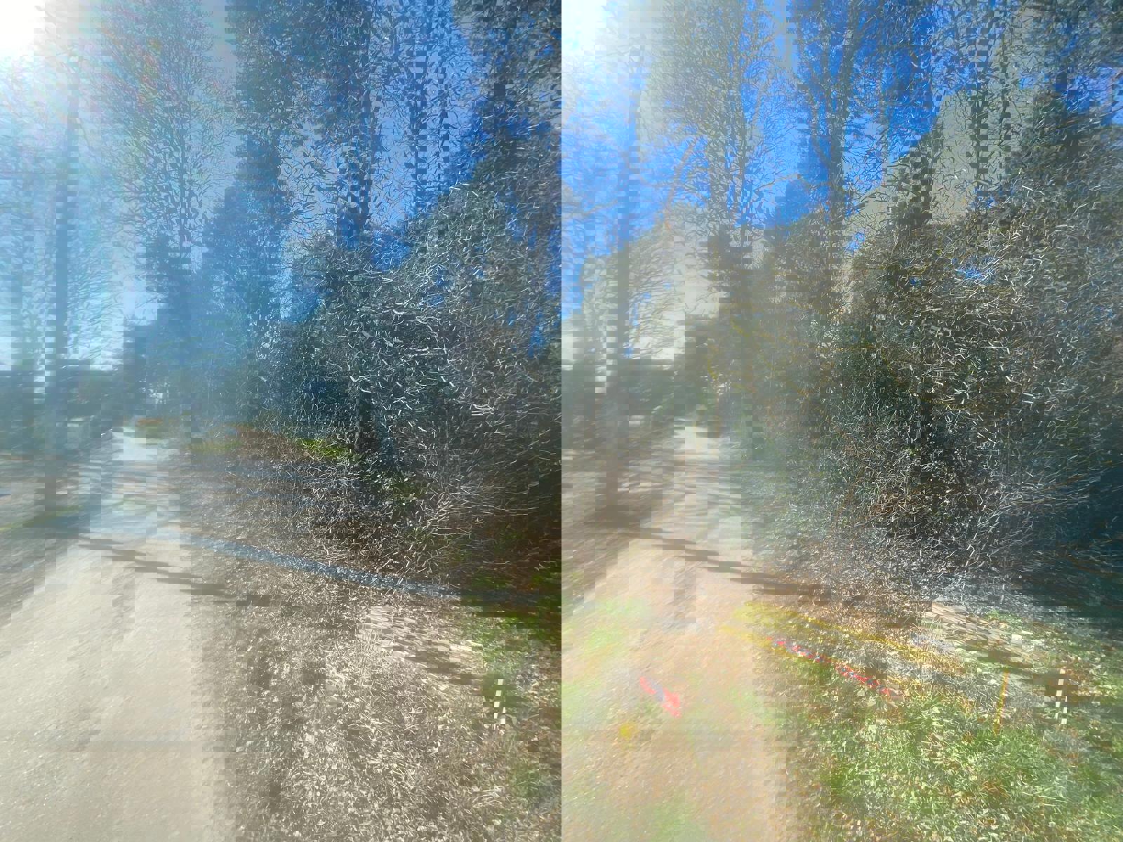 Land for sale in Balen - photo 5