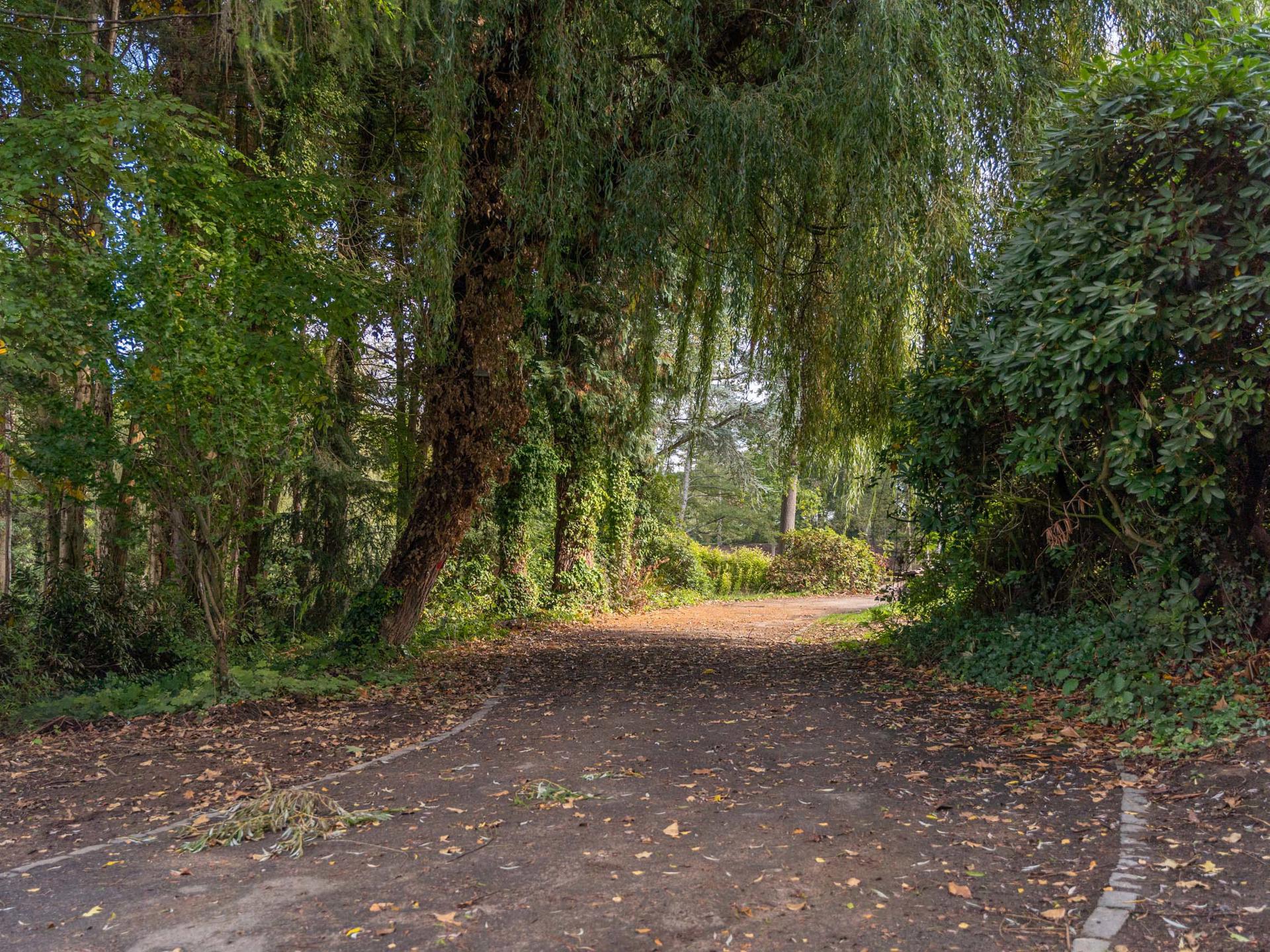 Land for sale in Lasne-Chapelle-Saint-Lambert - photo 4