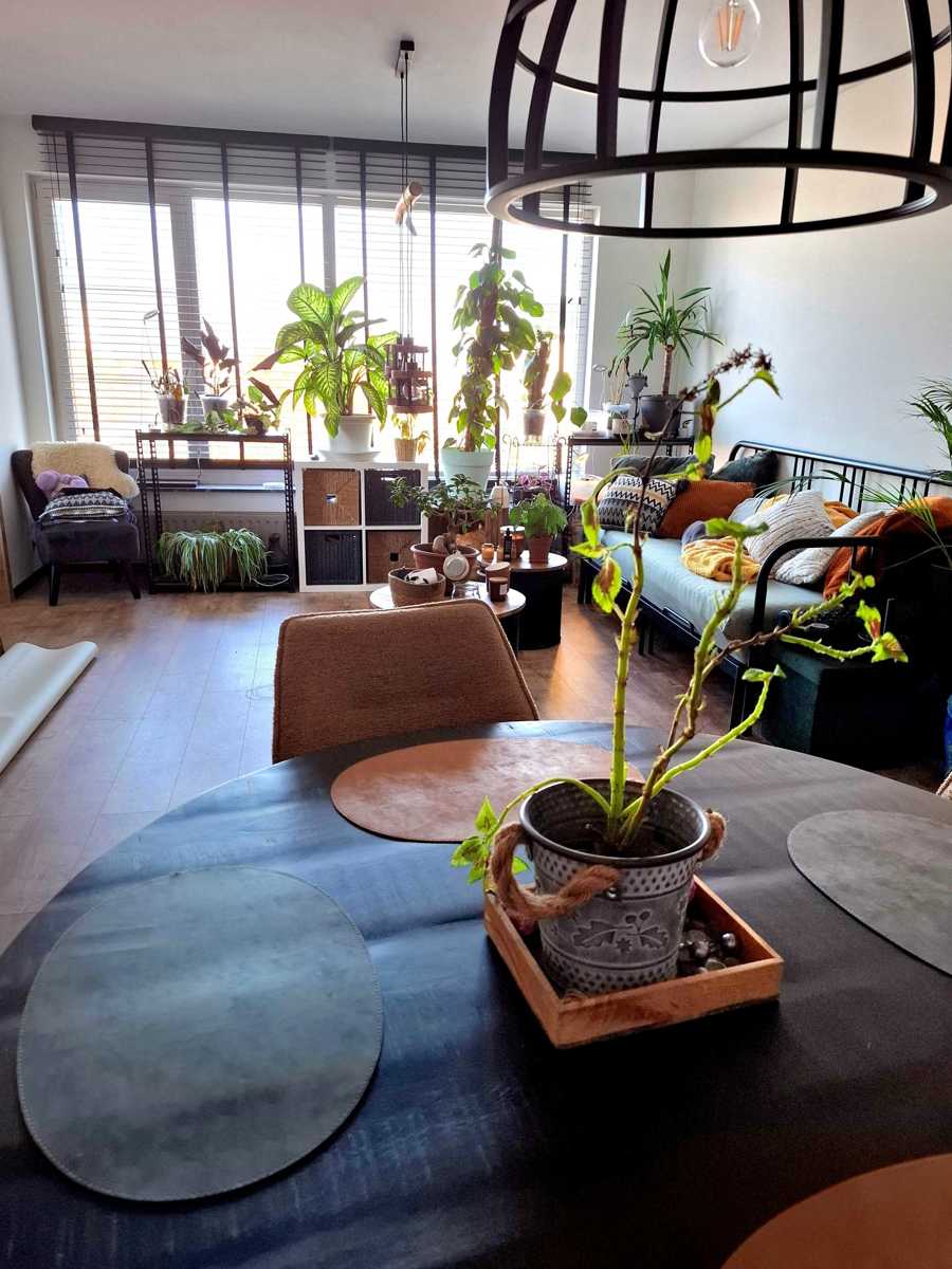 Appartement à vendre à Anvers avec 2 chambres - photo 3