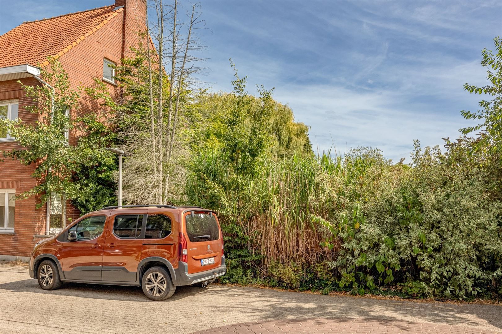 Half open bouwgrond - photo 5