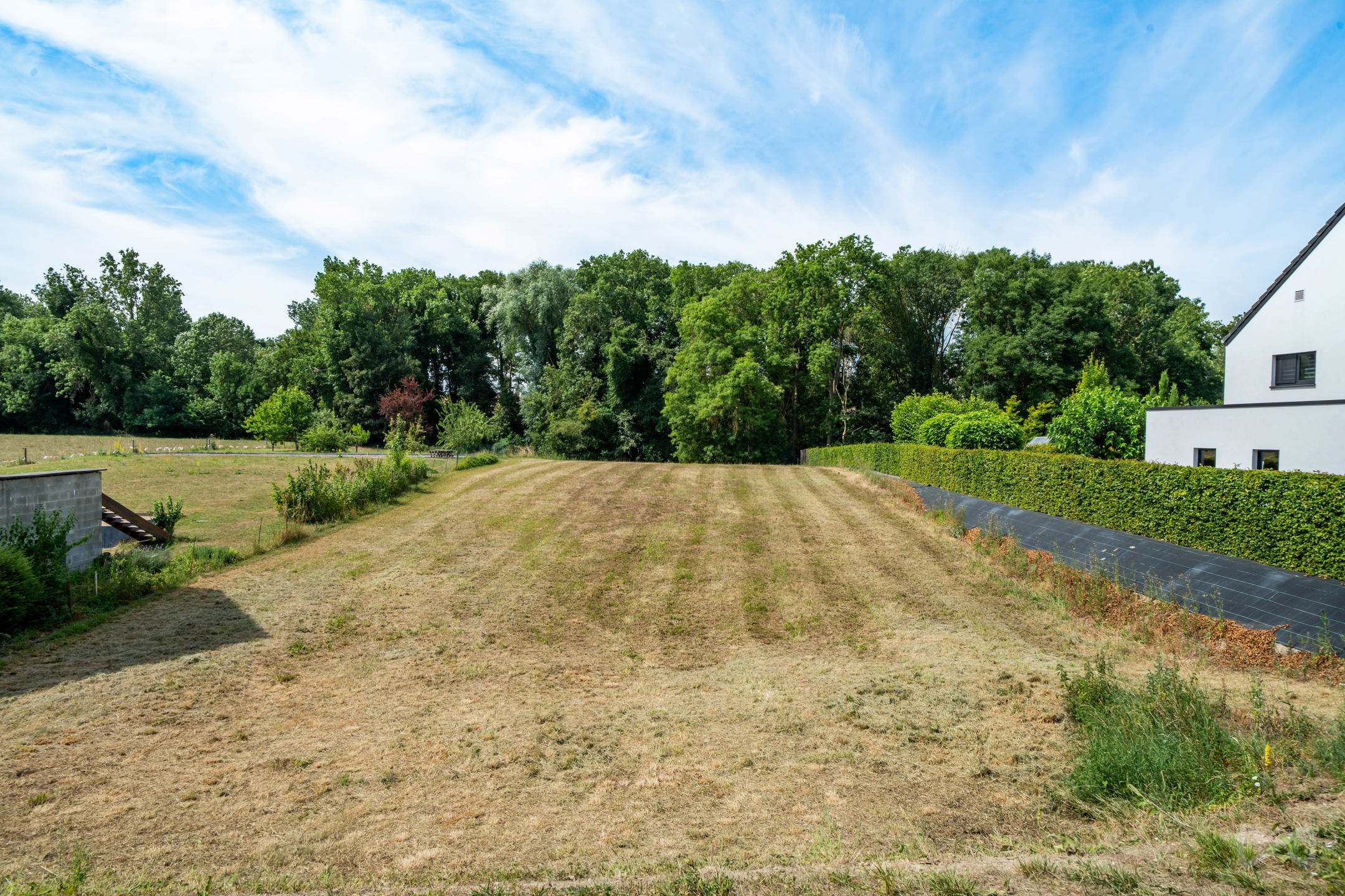 Grond te koop in Wansin - foto 5