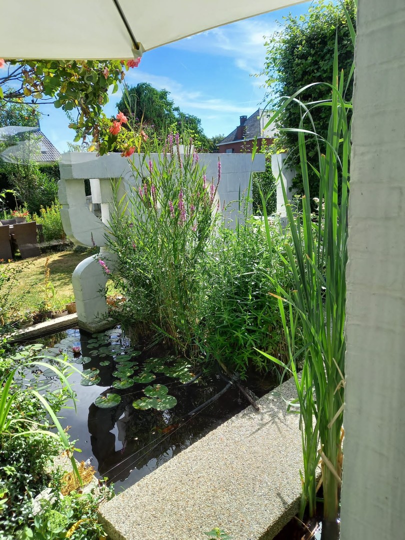 Organische architecten- en kunstenaarswoning - foto 4