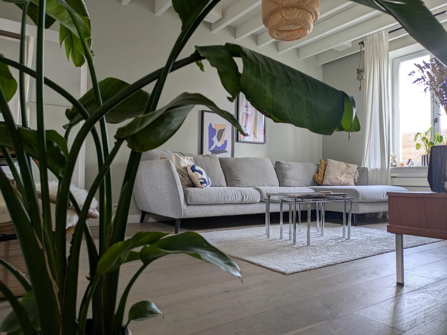 Maison à vendre à Itterbeek avec 3 chambres - photo 3