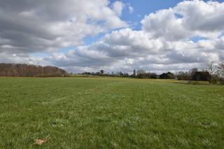 Century 21 ImmoNero présente : Opportunité unique pour les amoureux des chevaux : Très beau terrain orienté S-E de 9.415m² (94A15ca), pour...