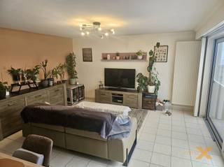 Apartment for rent in Lievegem